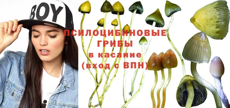 Псилоцибиновые грибы Magic Shrooms  МЕГА tor  Куровское  даркнет сайт 